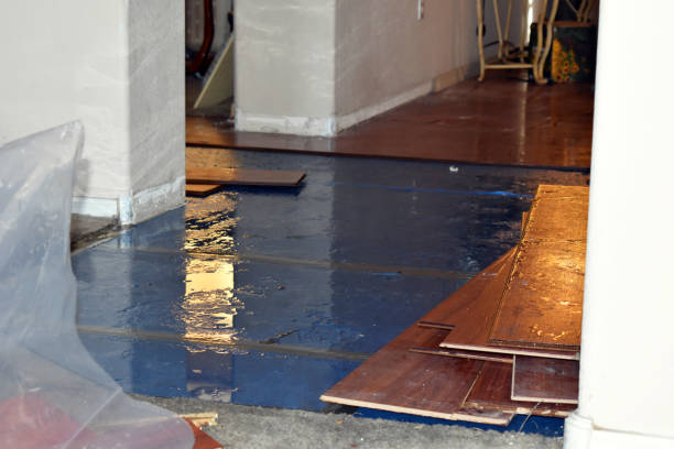 Professional Flood Cleanup technician working in Portola Valley, CA